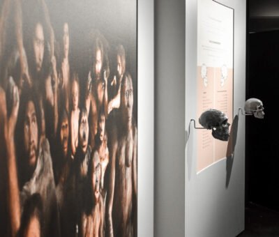 Toile collée sur mur _ ©Musée de la Céramique Andenne