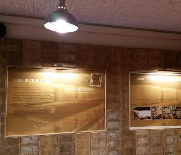 Panneau d'exposition dibond présentant l'origine du fromage Maredsous avec un fond doré et des explications du processus de fabrication