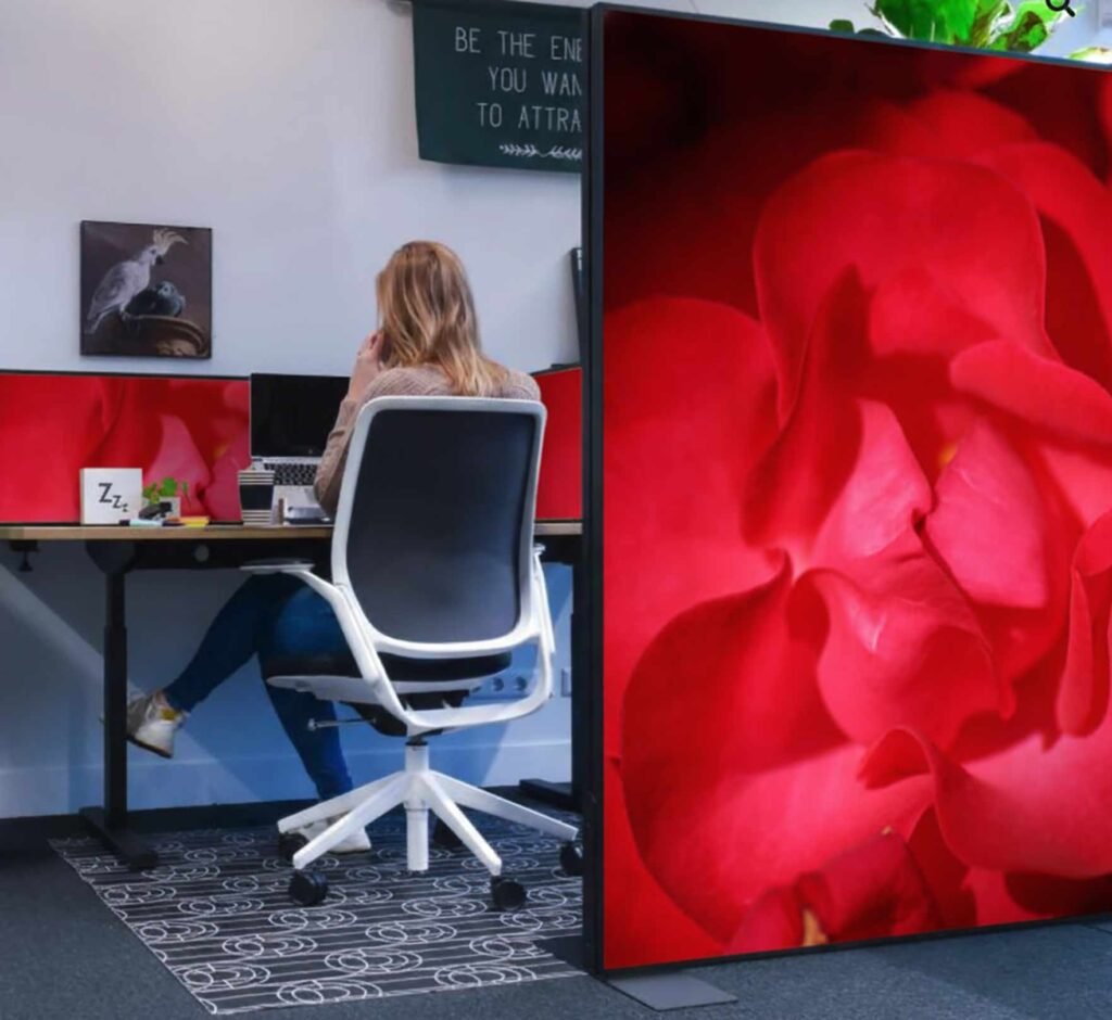 Cloison de séparation acoustique avec photo de fleur rose installée dans un espace de bureau moderne, offrant une isolation sonore et une délimitation visuelle des postes de travail.