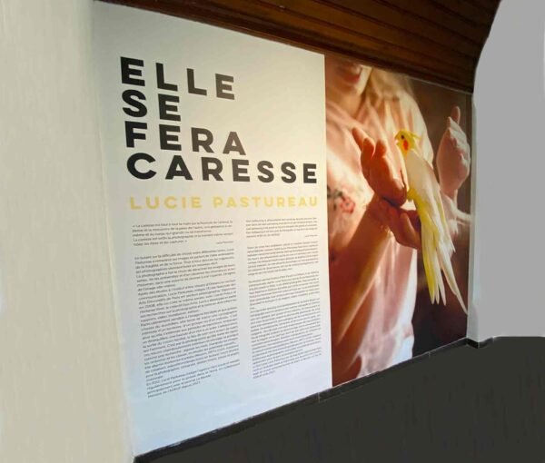Panneau d’exposition imprimé en grand format sur toile murale sans joint, combinant une photo d’un oiseau et du texte multilingue, dans un espace muséal.