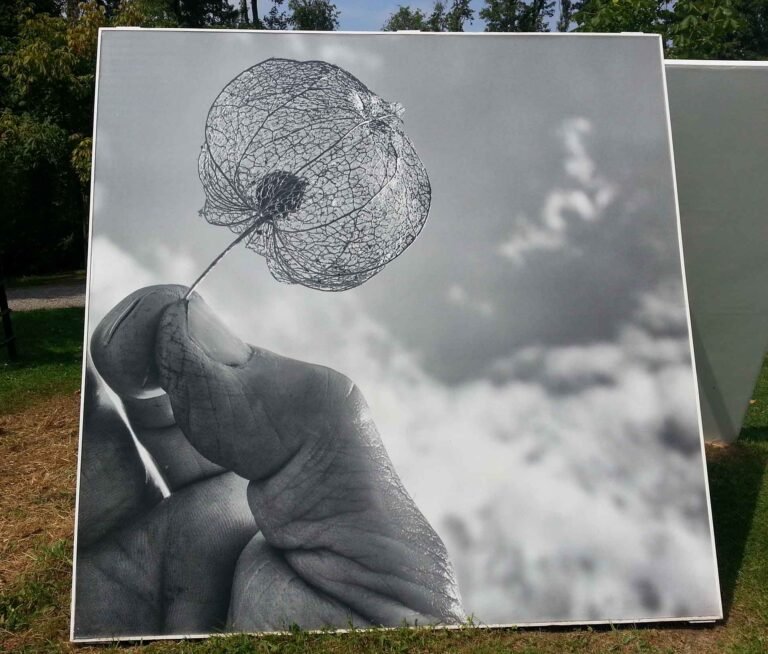 Bâche grand format collée sur panneau bois pour exposition artistique, impression noir et blanc haute définition sur support rigide extérieur