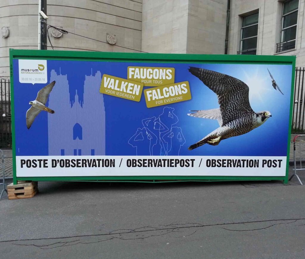 Panneau Forex collé sur container grand format signalétique extérieure faucons impression résistante intempéries