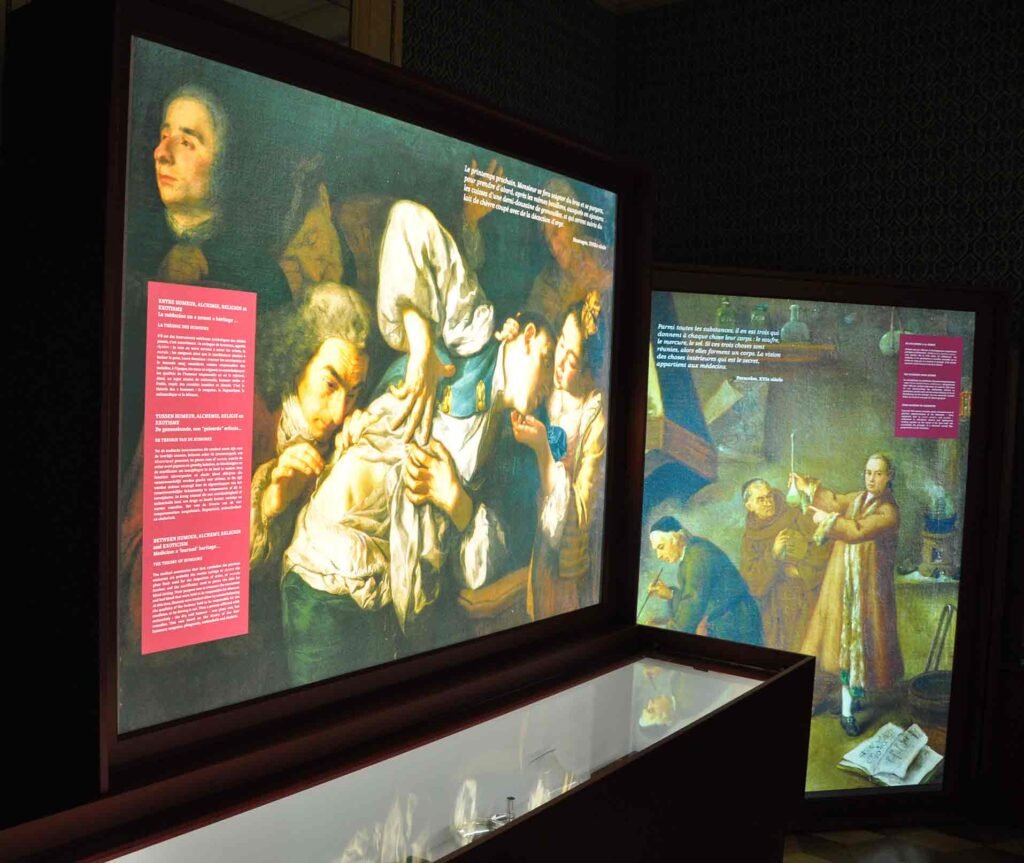 Panneaux d’exposition imprimés sur plexi opalin rétroéclairé, présentant des œuvres et textes explicatifs dans un musée