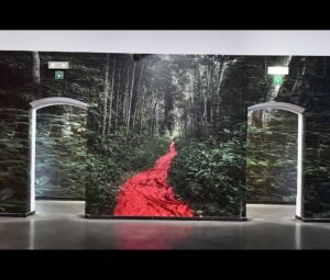 Mur imprimé en grand format sur papier Blueback montrant une forêt dense avec un tapis rouge s’étendant au centre, installé dans une exposition.