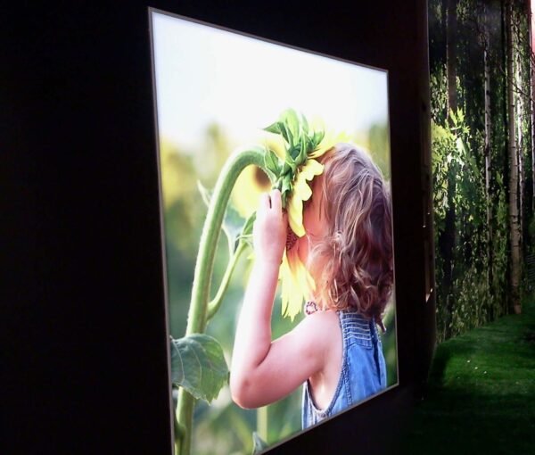 Impression grand format sur tissu rétroéclairé d'une petite fille tenant un tournesol géant, installée dans un cadre extérieur verdoyant.